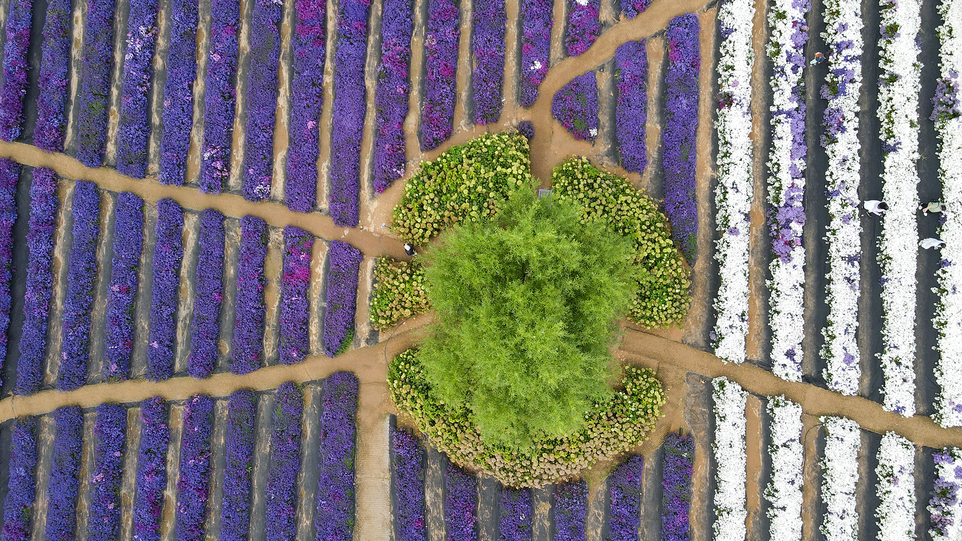 감악산 별바람언덕